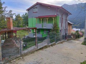 Vila Cri Cri Buşteni